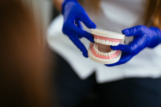 Professional Dental Services in Newburgh Heights, OH